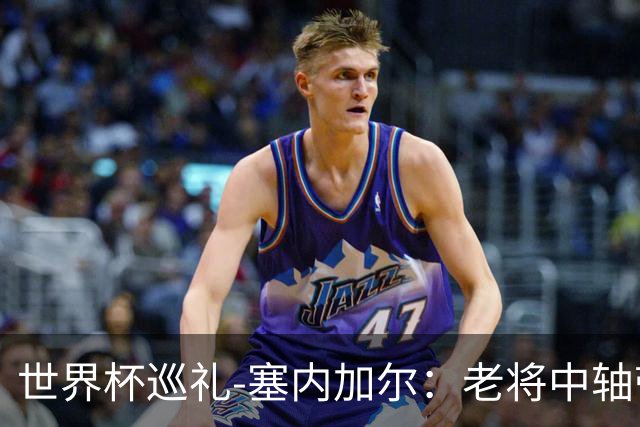 世界杯巡礼-塞内加尔：老将中轴带来安全感，非洲顶流前景可期！